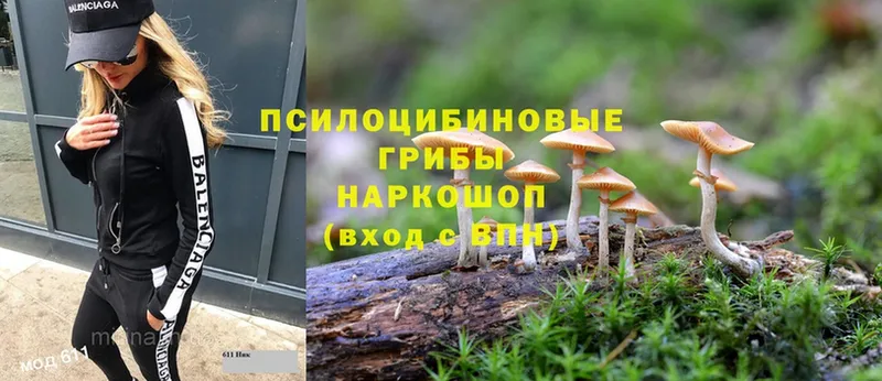 купить закладку  Калуга  Псилоцибиновые грибы Cubensis 